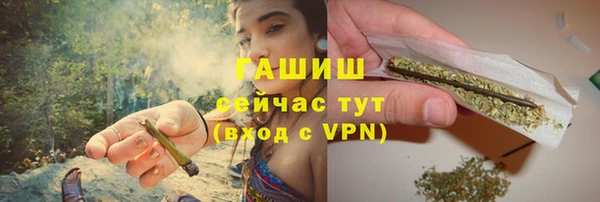 молекула духа Елизово