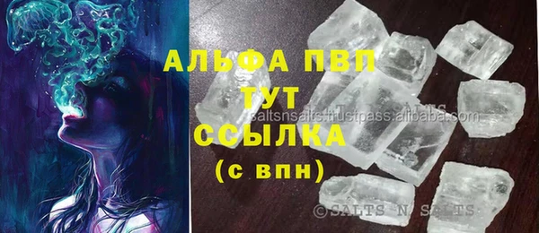 молекула духа Елизово