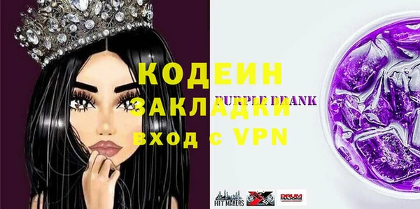 молекула духа Елизово