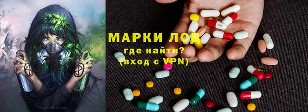 стафф Елабуга