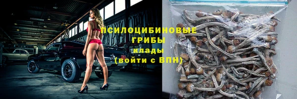 стафф Елабуга