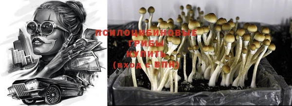 стафф Елабуга