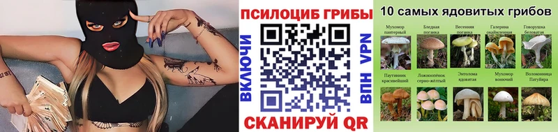 Галлюциногенные грибы GOLDEN TEACHER  Купить где  Борисоглебск 